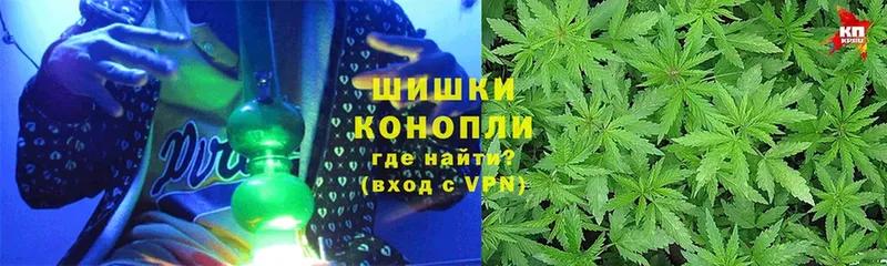 купить наркоту  Горно-Алтайск  блэк спрут рабочий сайт  Марихуана SATIVA & INDICA 